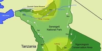 Bản đồ của tanzania di chuyển 