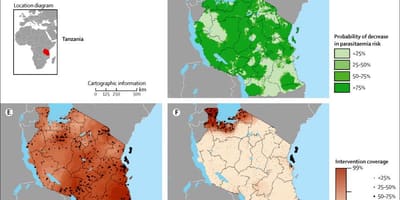 Bản đồ của tanzania sốt rét 